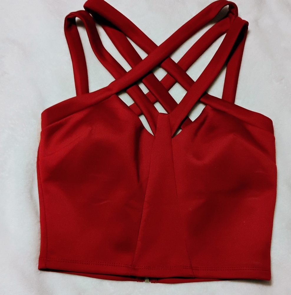 Charlotte Russe Crop Top